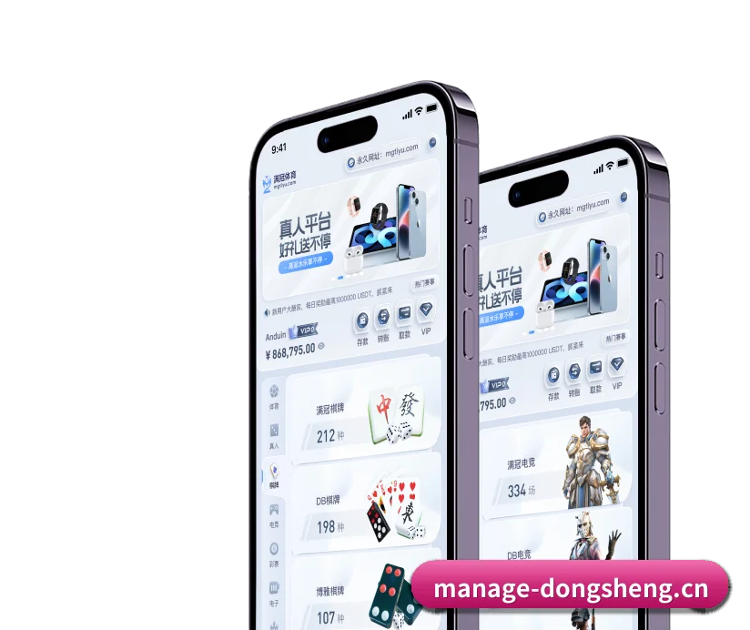 国际化进程（dongsheng）